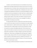 Essay on Personal Experience - the Forest