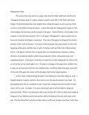 Management Game Essay