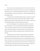 Essay on Cocaine Drug