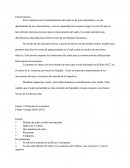Electrosmosis Case (spanish)