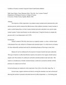 Synthesis of Isoamyl Acetate Using the Fischer Esterification Method