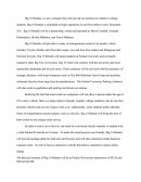 Big 10 Rentals Executive Summary