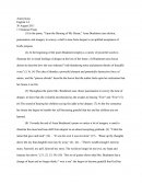 11 Sentance Essay