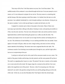 essay about new york city