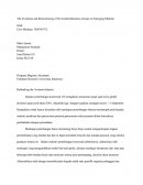 The Evolution and Restructuring of Diversified Business Groups in Emerging Markets (indonesian)
