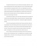 Descriptive Essay Example