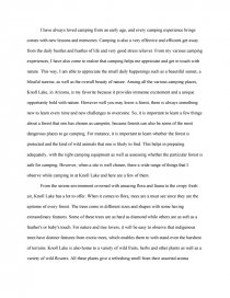 Observation Essay Camping Essay