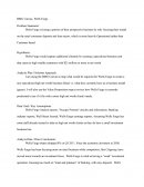 Pager of Wells Fargo Investments