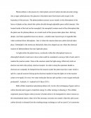 Photosynthesis Accounting Cycles