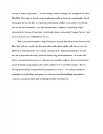 The Tortilla Curtain T C Boyle Book Movie Report
