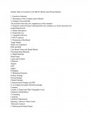 Sample Table of Contents for the Marketing Brand Audit Project