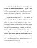 European Law Essay - Direct Effect of Directives