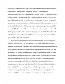 Uc Essay Prompt 2 Essays On Medea also Definition Essay On Courage Cellular Respiration Photosynthesis Research Paper College Writing Sample Essay