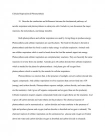 essay on photosynthesis top mark a level biology essay the photosynthesis and respiration venn diagram