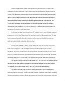 Individual Project