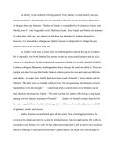 The Great Gatsby Identity Essay