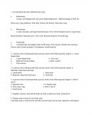 Body Composition and Weight Control Worksheet