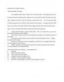 Instructions for Chapter Analysis