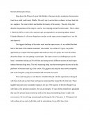 Narrative/descriptive Essay