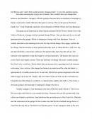 Critical Lens Essay