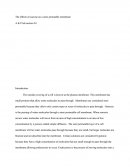 The Effects of Sucrose on a Semi Permeable Membrane