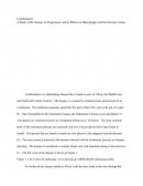 Leishmaniasis: A Study of the Disease, Its Progression, and Its Effects on Macrophages and the Immune System