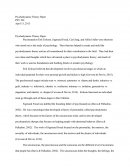 Psy 504 - Psychodynamic Theory Paper