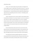 Chilean Mining Accident