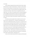 Casey Anthony Case