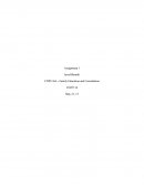 Discourses of Motherhood