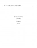 Organizational Impact Paper