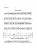 Luxottica Group: Corporate Research Paper