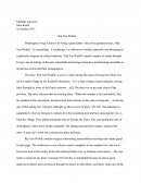 Essay on Rip Van Winkle