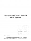 Processes and Strategies Involved in Management of Behaviour in Organization