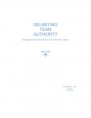 Delimited Authority - Is It Good to Have Clear Boundaries for Team Members? a Review on Outcome of Delimiting Team Authority