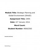 Zara Case Study - Strategic Planning and Global Environment