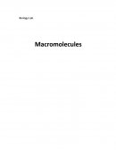 Macromolecules