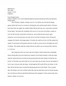 Essay - Hunger Games