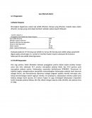 Questionnaire Distribution and Response Rate