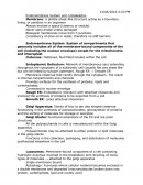 Endomembrane System and Cytoskeleton Vocab Notes