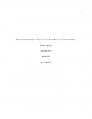 Diversity in the Workplace: Implications for Human Resource Development Paper