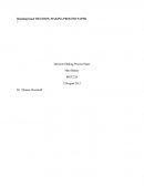 Mgt 220 - Decision-Making Process Paper