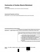 Contraction of Cardiac Muscle Worksheet