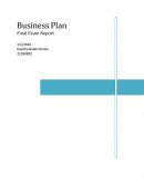 The Viridian Business Plan
