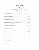 Barilla Spa Case Study Report