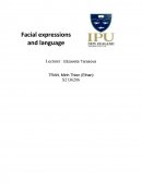 Facial Expressions and Language