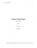 Biology 315 - Estuary Project Paper