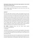 Determination of Lipase Protein and the Study of Gene Expression in Bran and Leaf Tissue of Rice Plant (oryza Sativa)