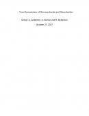 Bio 110 Yeast Fermentation