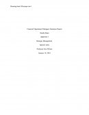 Mgmt 3010 - Financial Department Managers Summary Report